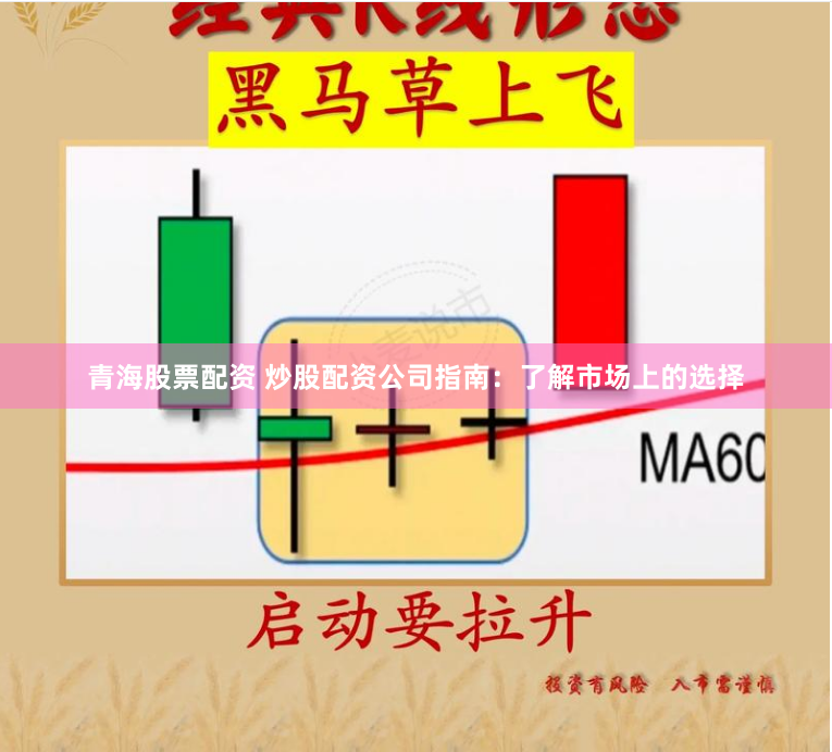 青海股票配资 炒股配资公司指南：了解市场上的选择
